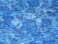 Water N Cunningham Oil on canvas 60 x43xm